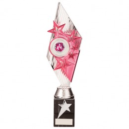 Pink and silver cup trophy