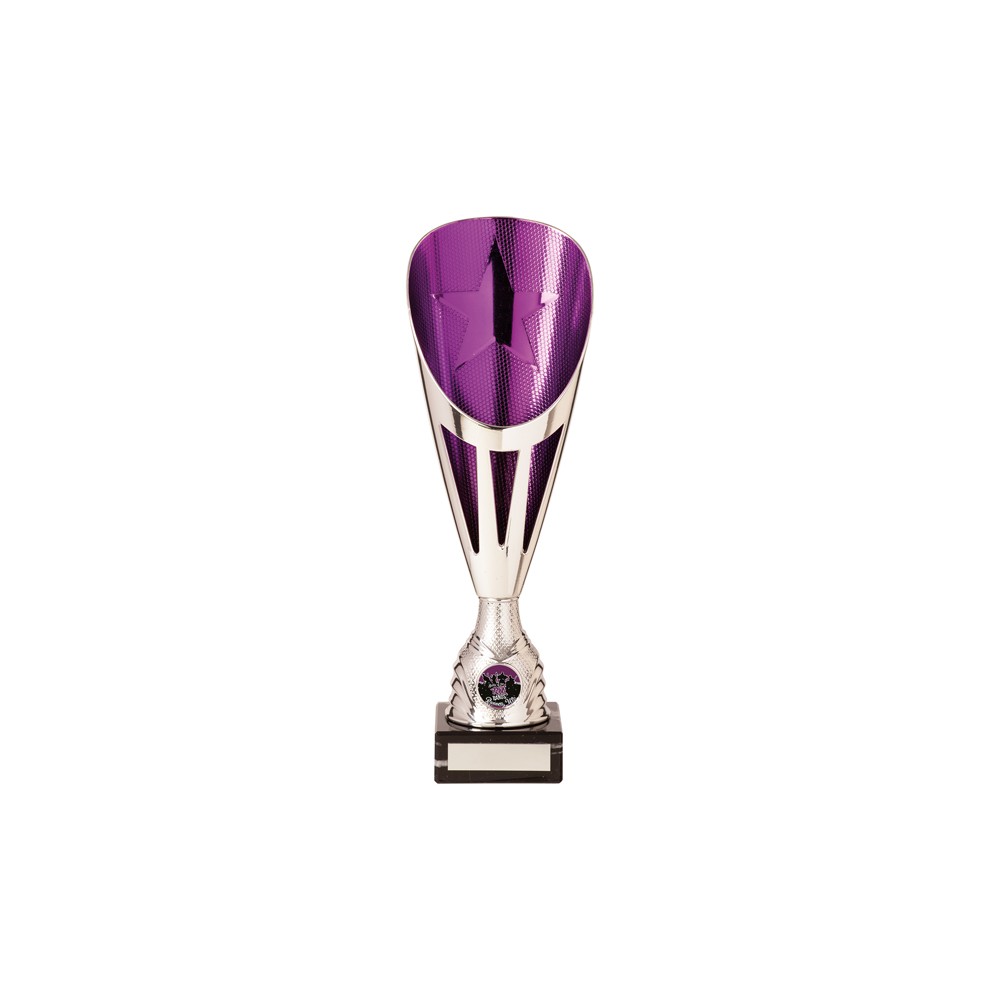 Purple and silver cup