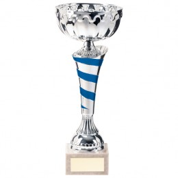 Silver and blue cup