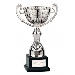 Silver Cup on black base