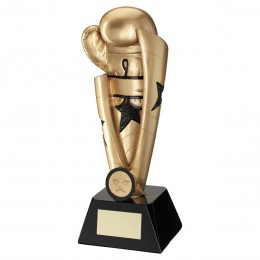 Boxing glove trophy
