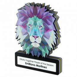 Bespoke Acrylic Award
