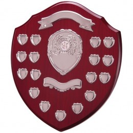 Large Annual Shield 17 Year