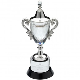 Glass Cup Award - 3 sizes