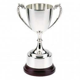 Elegant Silver Plated Cup - 3 sizes