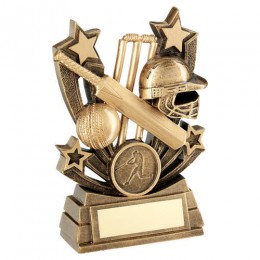 Cricket batsman award