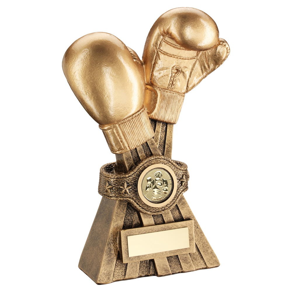 Gold Boxing glove Trophy