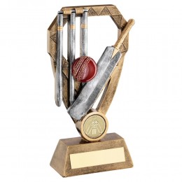 2 tone Cricket Trophy