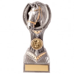 Horse Riding Award